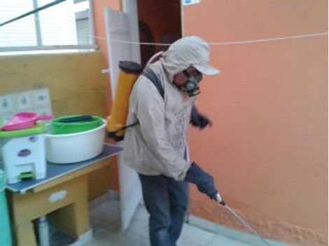 Controle de Pragas na Vila Isa