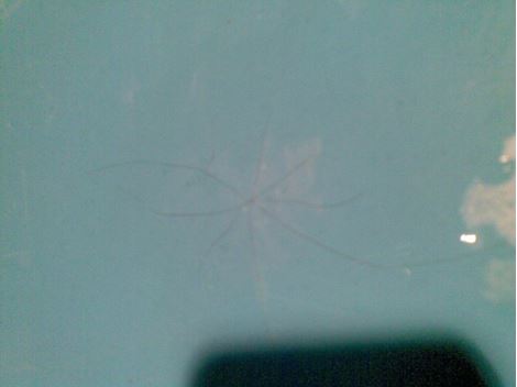  Limpeza de Caixa D'Água no Barro Branco