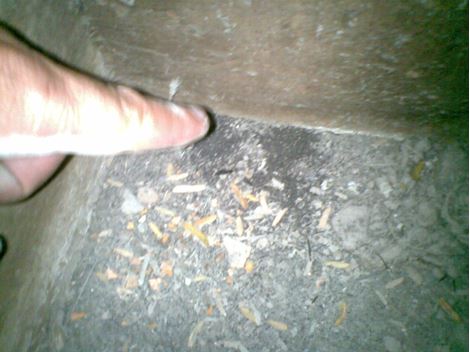  Limpeza de Caixa D'Água no Jardim Botânico