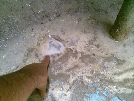  Limpeza de Caixa D'Água no Jardim Consórcio